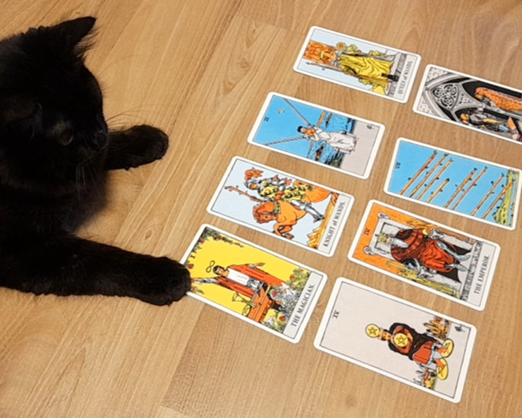 Personal Tarot Reading - 30 mins