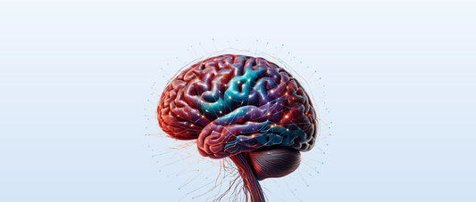How the Brain Works, Feels and Heals