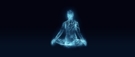 Why the Past Matters